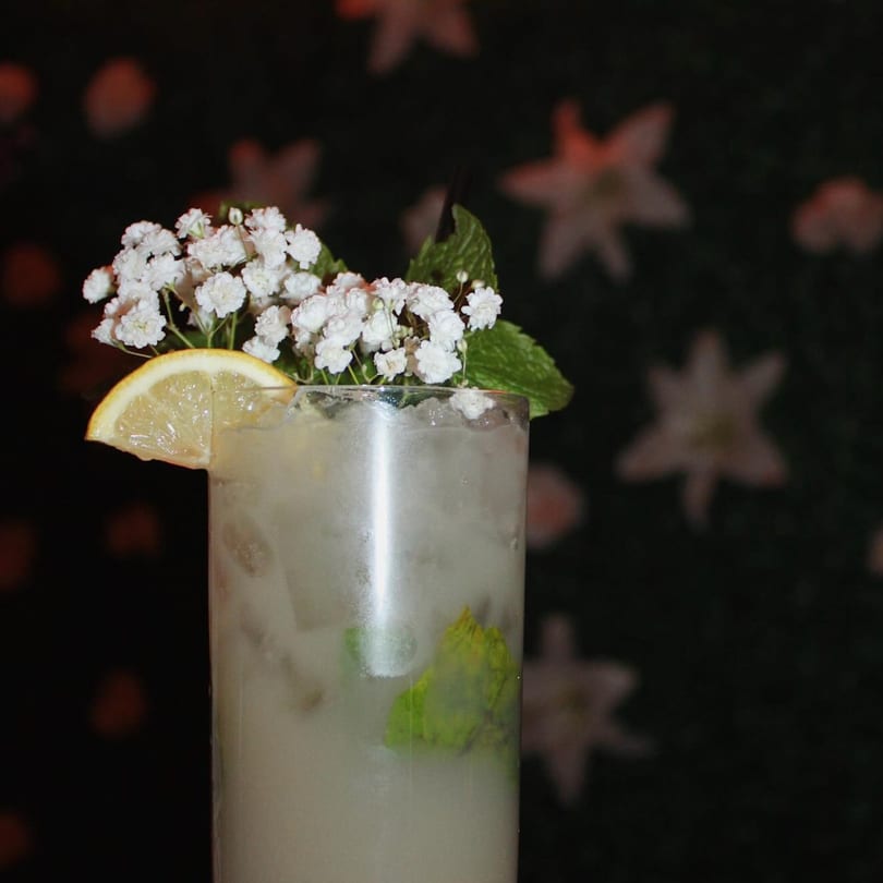 A Caribbean cocktail with a lemon slice, baby's breath flowers, and mint leaves, against a dark floral background.